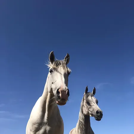 Maison d'hôtes Le Moulin Du Fresne, D'hôtes