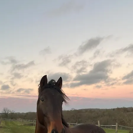 Maison d'hôtes Le Moulin Du Fresne, D'hôtes Gourgé