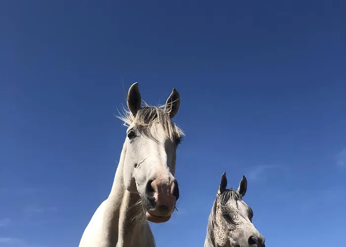 Guest house Le Moulin Du Fresne, D'hotes