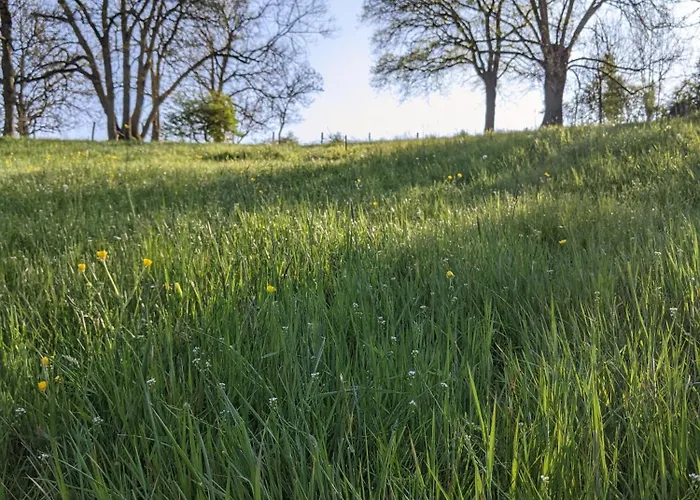 Le Moulin Du Fresne, D'hotes Guest house